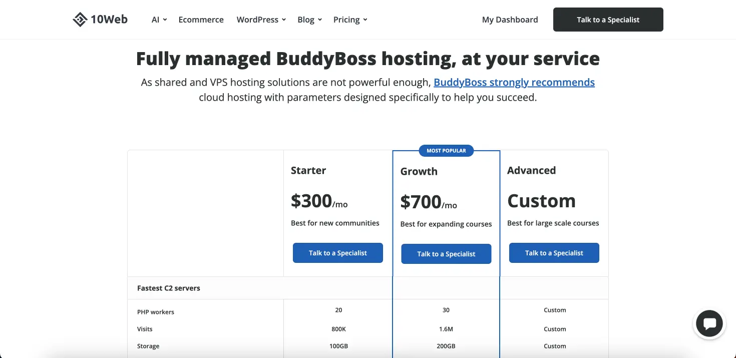 10web IO buddyboss hosting pricing plan