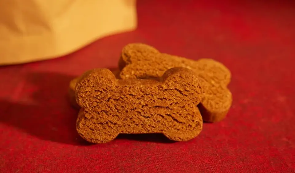 dog cookies shape like bone