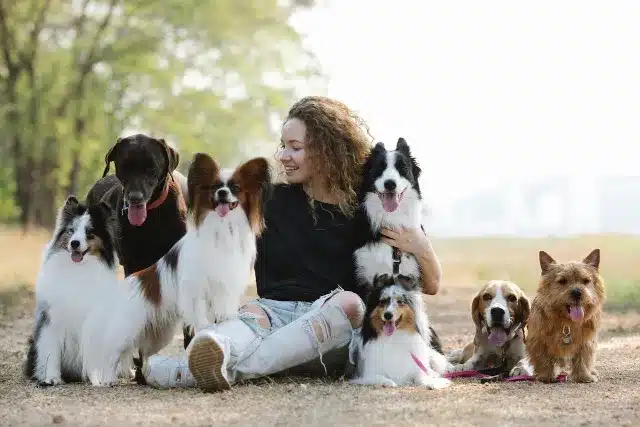 owner with dogs